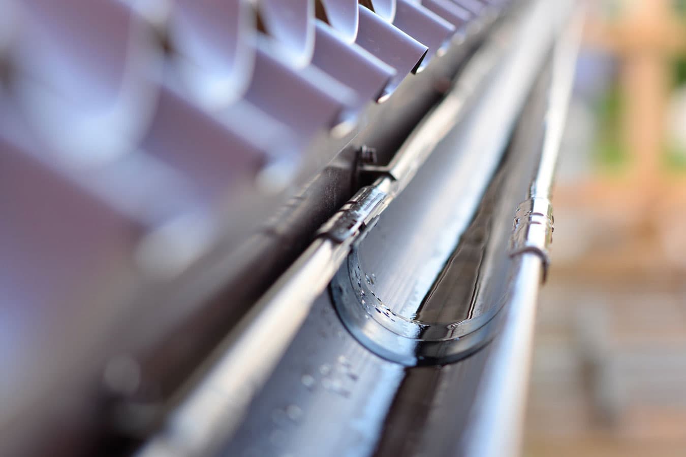 Roof & Gutter Repairs Burpengary, Caboolture, Morayfield, Narangba, Brisbane's NorthApple Tree